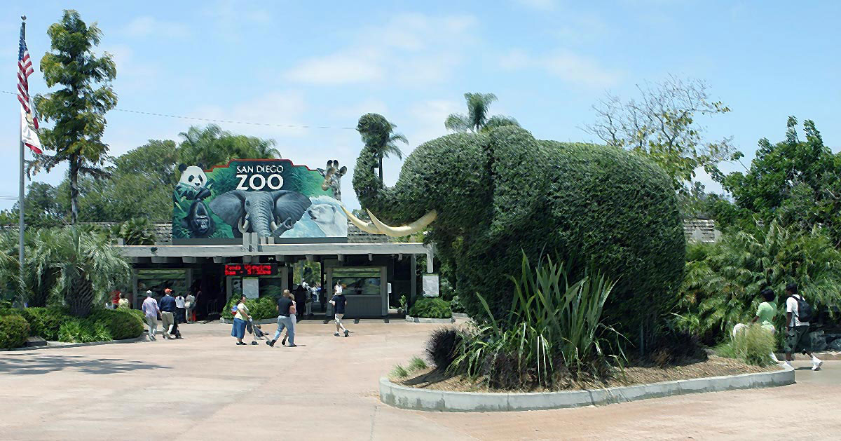 A Basic Travel Guide to the San Diego Zoo