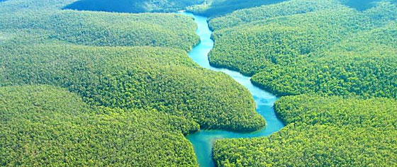 Amazonia National Park