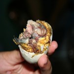 Balut from the Philippines 