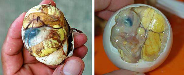 6 Weird Delicacies Of The World