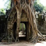 Angkor Wat Tree Entrance - Cambodia, Siem Reap Backpacking