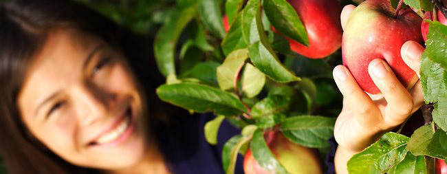 Girl woman picking fruit