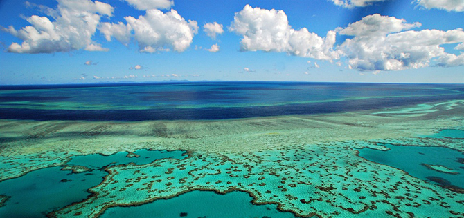 Travel & Explore The Great Barrier Reef
