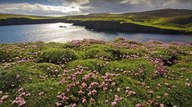 Travel to Shetland, Scotland