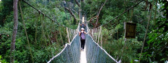 Backpacking Costa Rica for Budget Travel