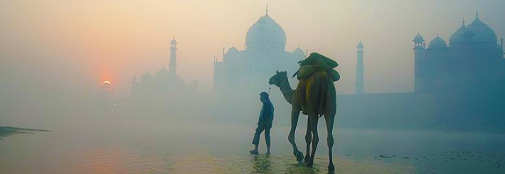 Backpacker and Camel Taj Mahal, India