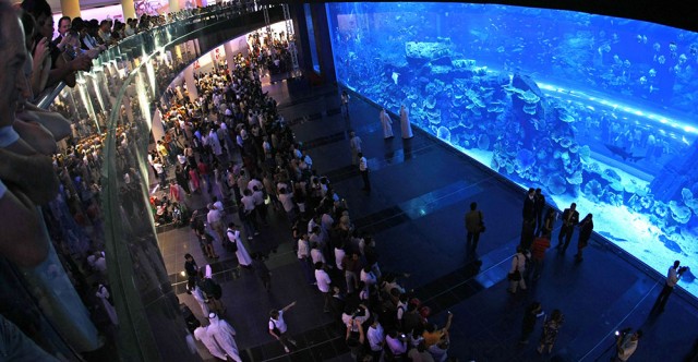 Travel to the Dubai Mall, Dubai, UAE
