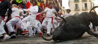 Running with the Bulls in Spain