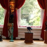 Amsterdam's Cat Cabinet